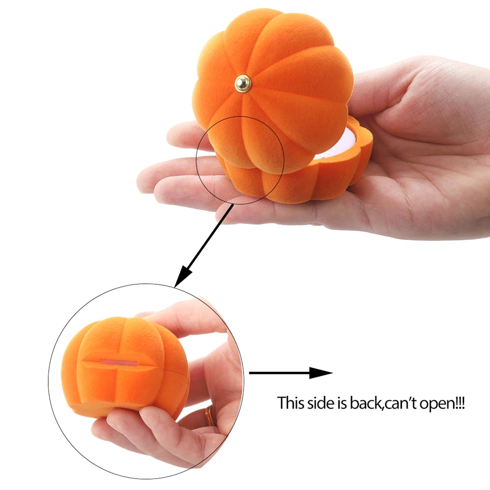 Jewelry Gift Box Earing Pendant Display Storage Box For Valentine's Day Moth WTD | eBay